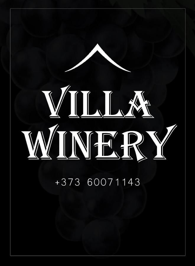 Мини-отель Villa Winery Cricova-5