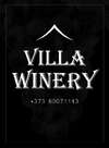 Мини-отель Villa Winery Cricova-1