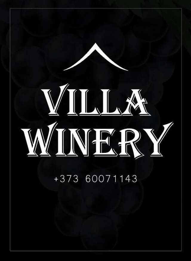 Мини-отель Villa Winery Cricova-4